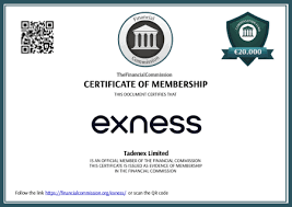 Exploring the Features and Benefits of Exness Mobile App 16